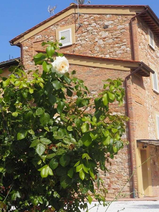 La Casa Di Samarcanda Uliveto Terme Ngoại thất bức ảnh