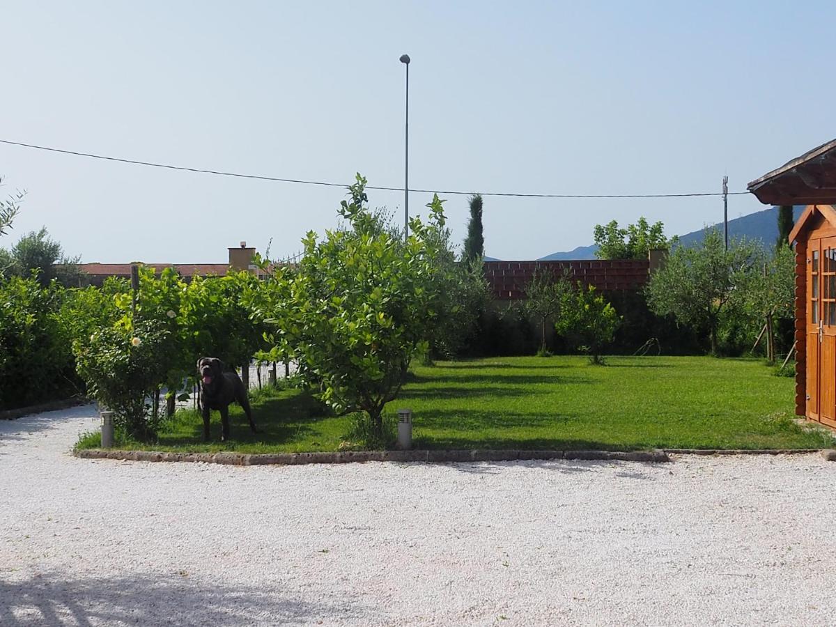 La Casa Di Samarcanda Uliveto Terme Ngoại thất bức ảnh