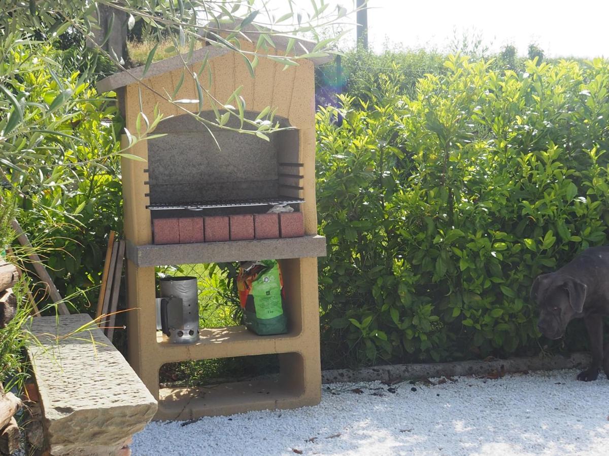 La Casa Di Samarcanda Uliveto Terme Ngoại thất bức ảnh